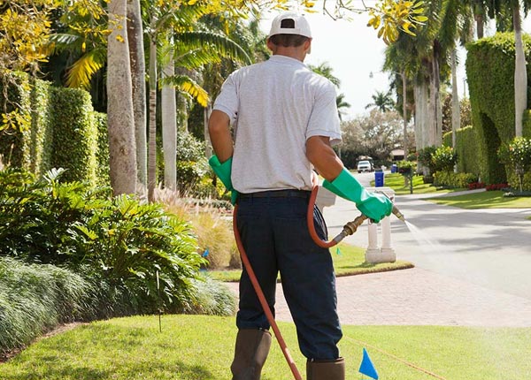 About Basehor KS Pest Control